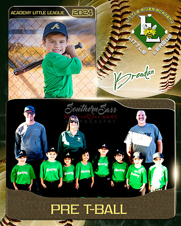 BrendanMemoryMate copy