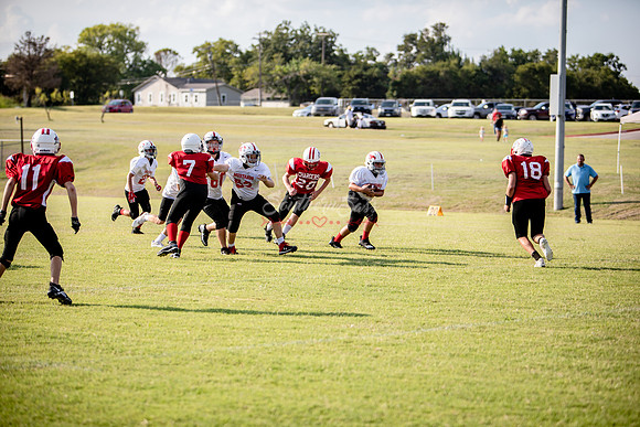 IMG_0184