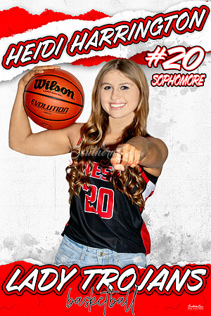HeidiHarrington copy