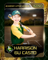 Harrison copy