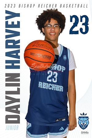 DaylinHarvey copy