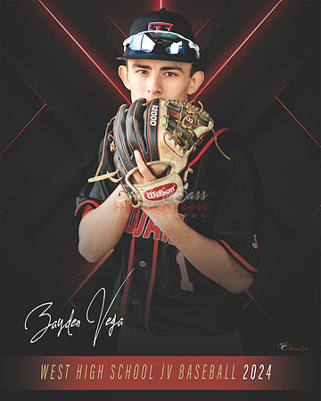 ZaydenVega copy