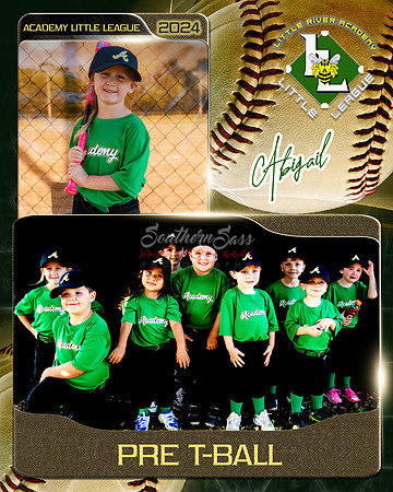 AbigailMemoryMate copy