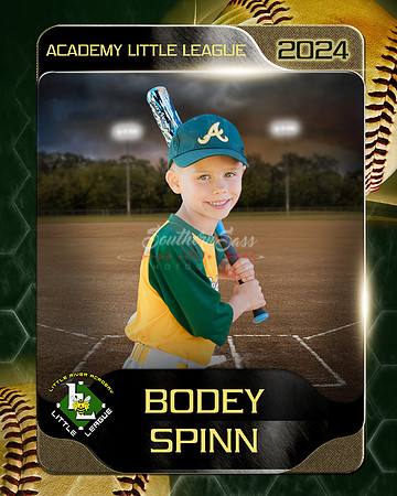 BodeySpinn copy
