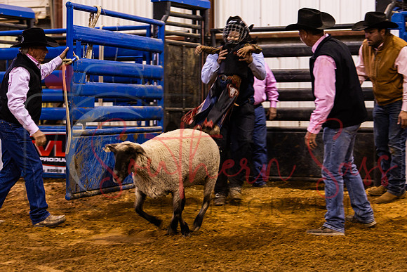 SSP10684