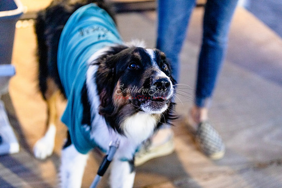 IMG_7092
