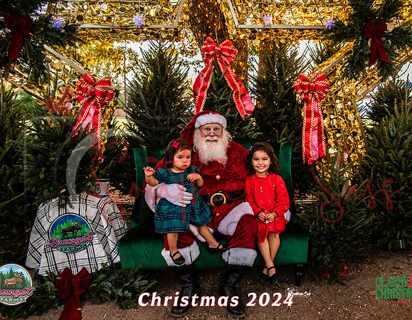 IMG_0001-11 copy