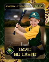 David copy