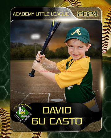 David copy