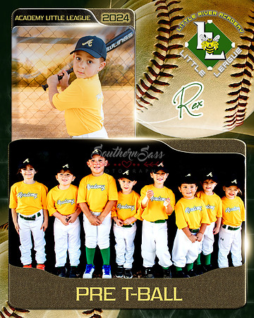 Rex2MemoryMate copy