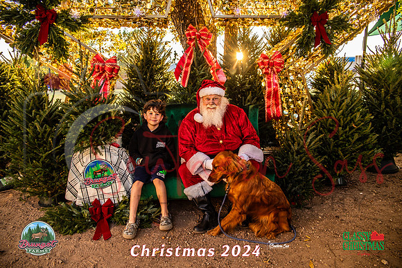 IMG_0003-7 copy