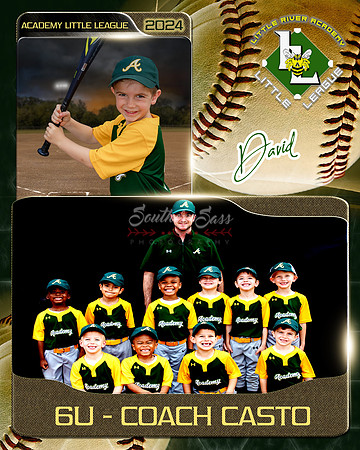 DavidMemoryMate copy