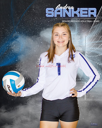 AndreaSankerBanner copy