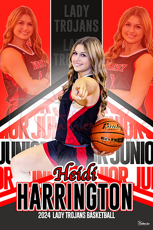#1HeidiHarrington copy