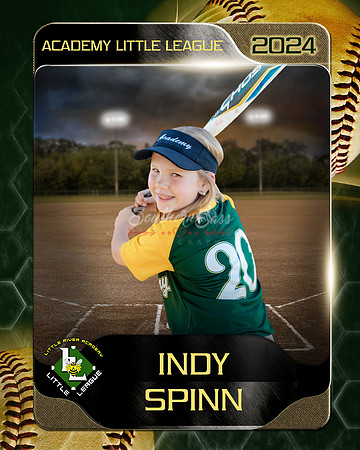 IndySpinn copy