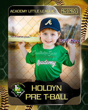 Holdyn copy
