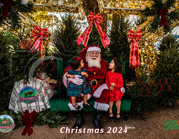 IMG_0014-3 copy