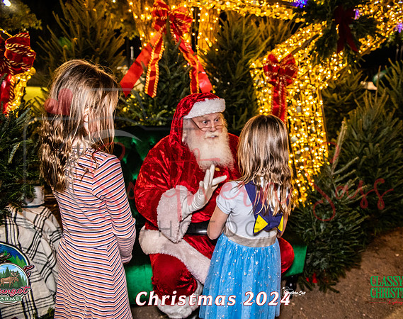 IMG_0012-2 copy