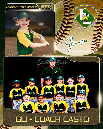 HarrisonMemoryMate copy