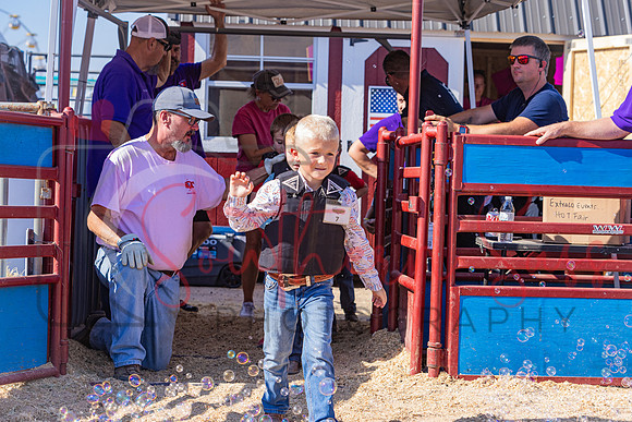 SSP11446