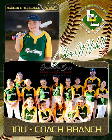 ColeyMitchellMemoryMate copy