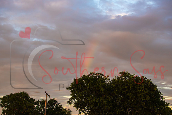 CANON (3288)