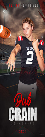 #2DubCrain copy