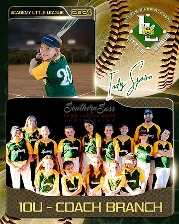 IndySpinnMemoryMate copy