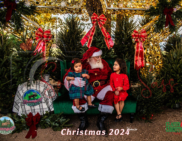 IMG_0011-5 copy